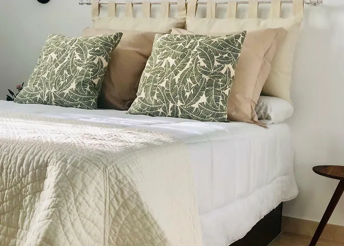 Canaryislandshost L My Nest